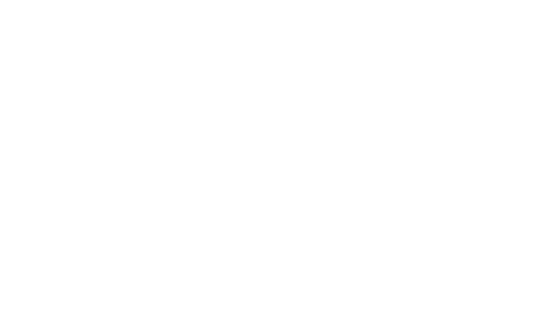 RIS Rig Inspection Services